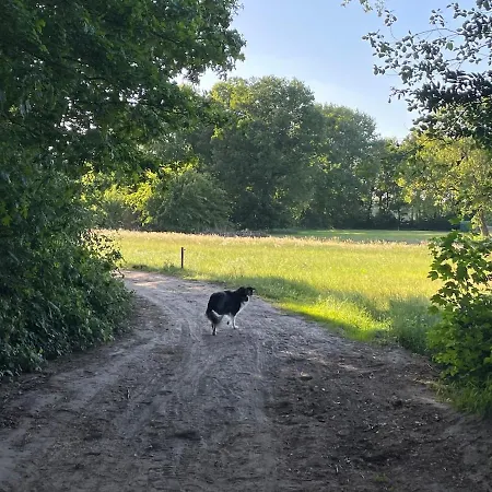 Nyaraló Knus Bakkershuisje