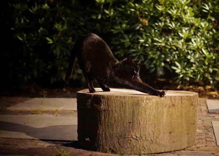 Holiday home Knus Bakkershuisje