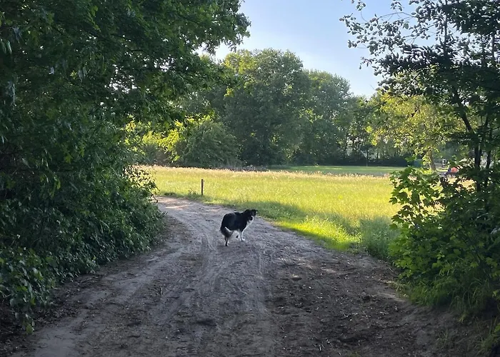 Holiday home Knus Bakkershuisje