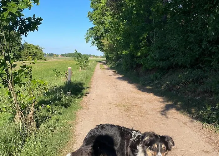 Holiday home Knus Bakkershuisje *