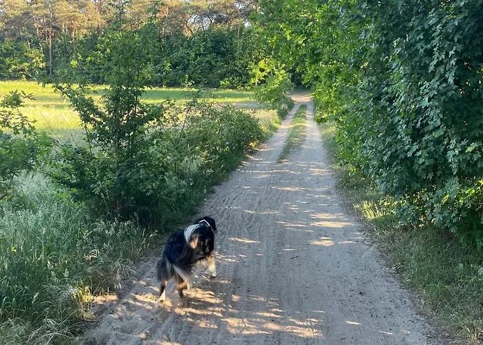 Knus Bakkershuisje Holiday home