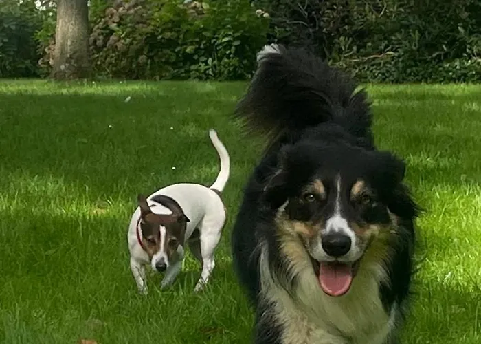 Knus Bakkershuisje Bladel