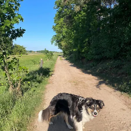 Сasa de vacaciones Knus Bakkershuisje *