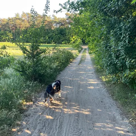 Knus Bakkershuisje Dom wakacyjny