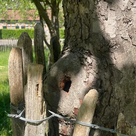 Dom wakacyjny Knus Bakkershuisje *