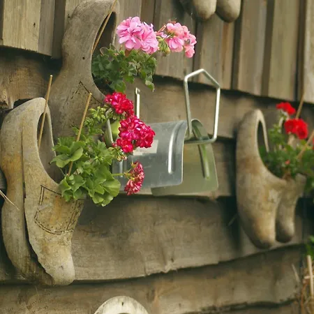 Dom wakacyjny Knus Bakkershuisje